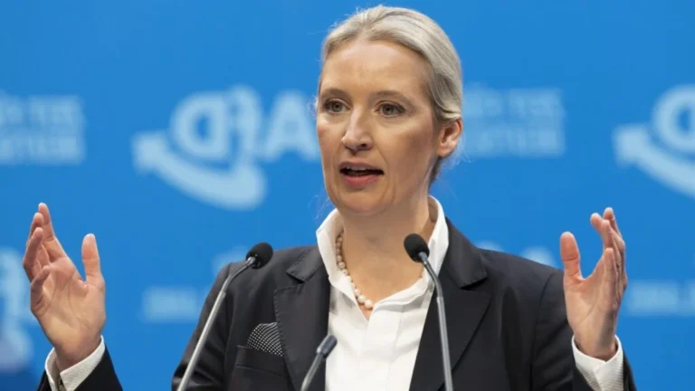 Rechtes Ohr Alice Weidel Ohrprothese